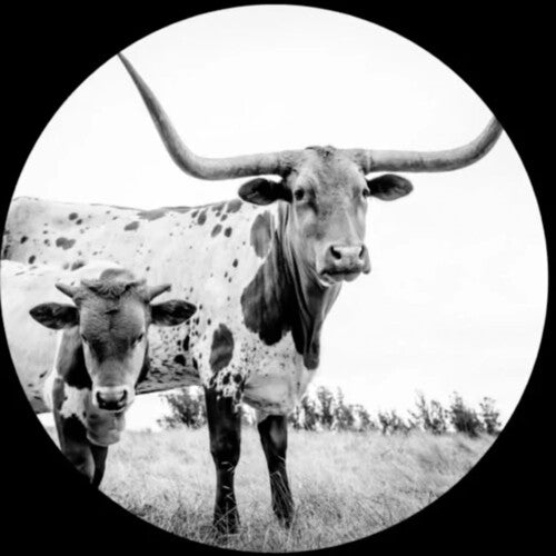 Mike Flanigin - WEST TEXAS BLUES (Vinyl)