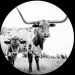 Mike Flanigin - WEST TEXAS BLUES (Vinyl)