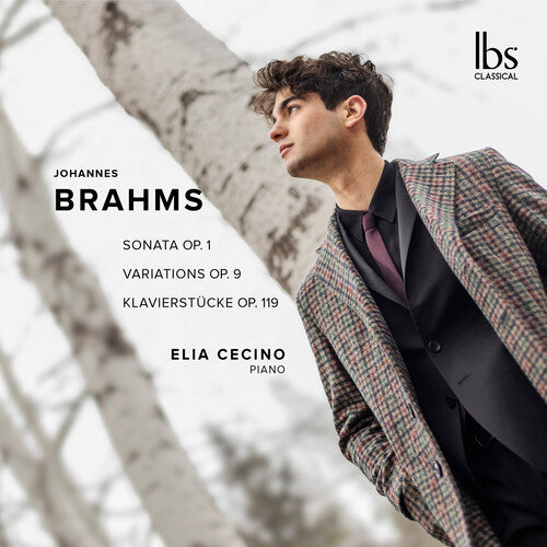 Brahms: Piano Works (CD)