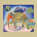 Gaia Wilmer - Dancing with Elephants (CD)