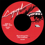 Visions - Reaching For The Infinite B/w Back To Fire (Vinyl)