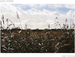 Dalham - And The Sun - White Vinyl (Vinyl)