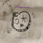 Rapoon - Cidar (redux) (Vinyl)