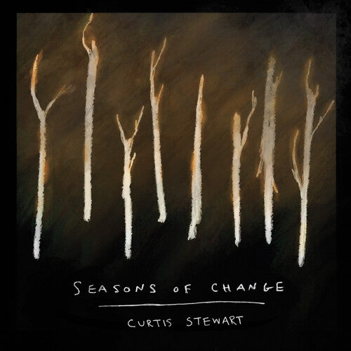 Curtis J Stewart - Seasons Of Change (CD)