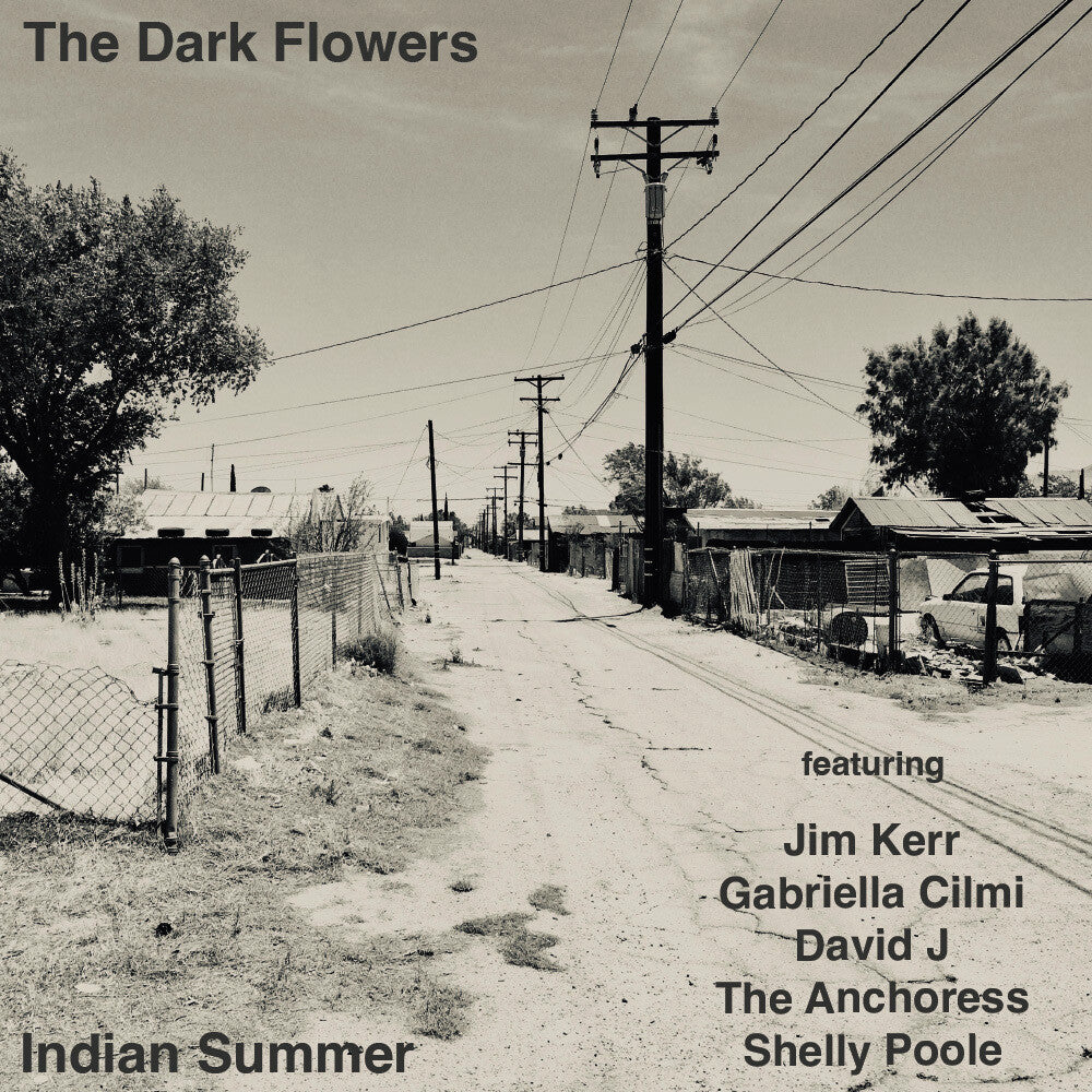 the album cover for Dark Flowers - Indian Summer (Uk)
