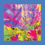 Reds Pinks & Purples - The Past is a Garden I Never Fed (Vinyl)