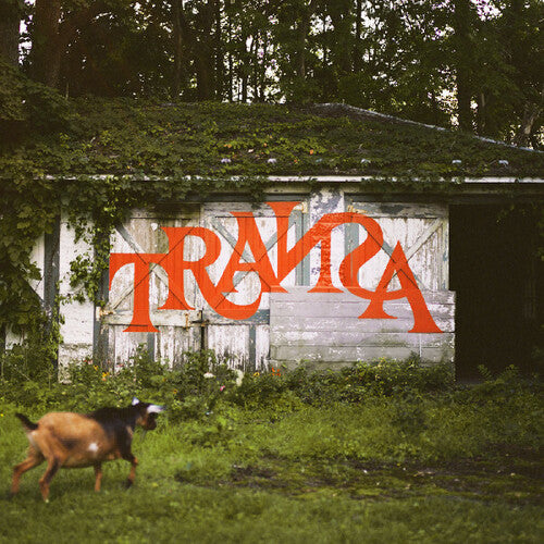 Various Artists - Transa (Various Artists) (Vinyl)