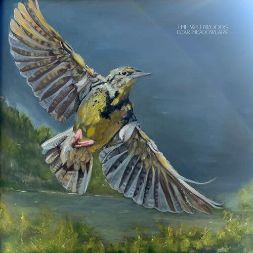 [PRE-ORDER] The Wildwoods - Dear Meadowlark (CD)
