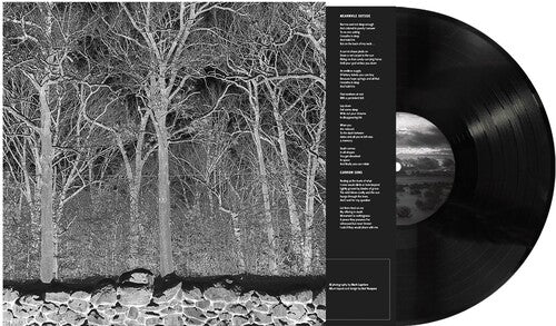 Pile - Sunshine and Balance Beams (Vinyl)