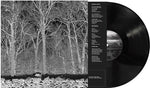 Pile - Sunshine and Balance Beams (Vinyl)