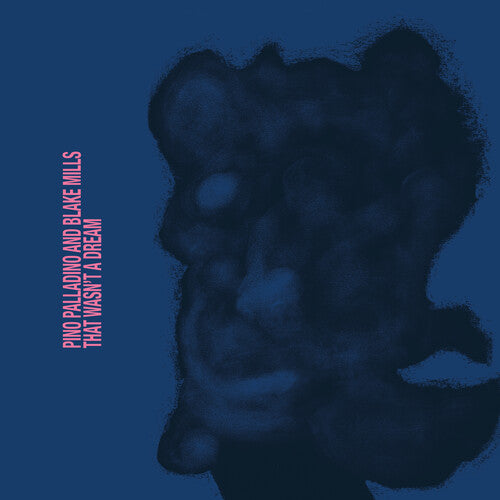 Pino Palladino & Blake Mills - That Wasn't A Dream (CD)