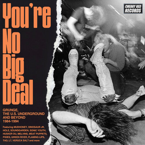 [PRE-ORDER] You're No Big Deal: Grunge, The U.S. Underground & Beyond 1984-1994 / Various (CD)
