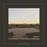 Cloud Nothings - The Black Hole Understands (Vinyl)