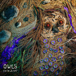 [PRE-ORDER] The Owls - Rare Birds (CD)