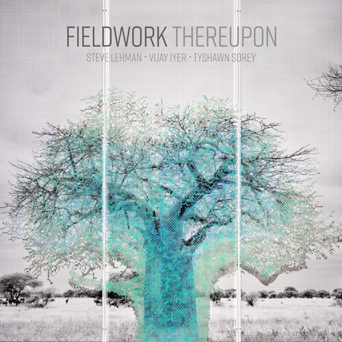 [PRE-ORDER] Fieldwork - Thereupon (CD)
