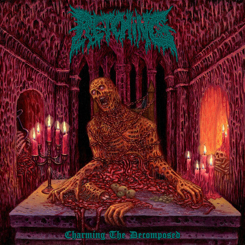 Retching - Charming The Decomposed (CD)