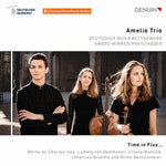 [PRE-ORDER] Amelio Trio - Time in Flux… (CD)
