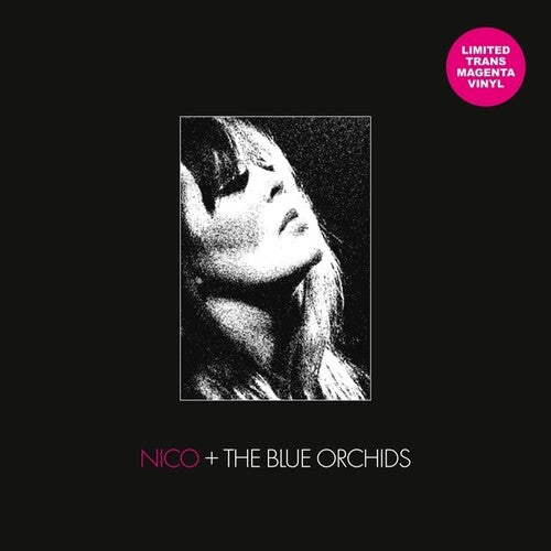 Live And In Session 1982 (Vinyl)