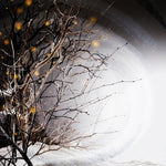 [PRE-ORDER] Winterlight - Winterlight (Vinyl)