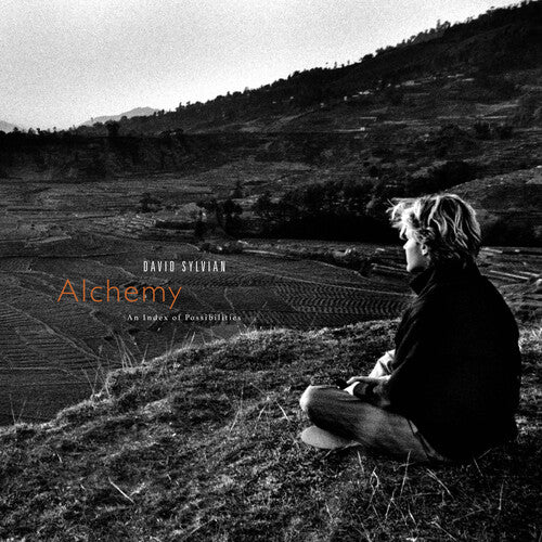[PRE-ORDER] David Sylvian - Alchemy: An Index Of Possibilities - Gold Opaque Red (Vinyl)