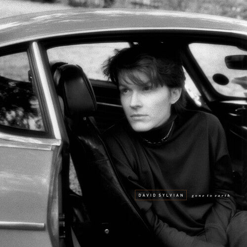 [PRE-ORDER] David Sylvian - Gone To Earth - White Brown Opaue Black (Vinyl)