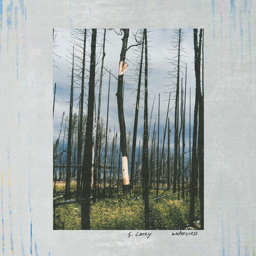 [PRE-ORDER] S. Carey - Watercress (Vinyl)