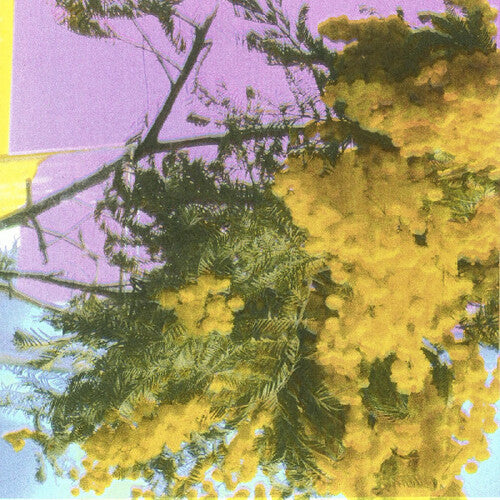 [PRE-ORDER] Four Tet - Into Dust (Still Falling) (Vinyl)