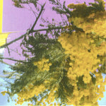 [PRE-ORDER] Four Tet - Into Dust (Still Falling) (Vinyl)