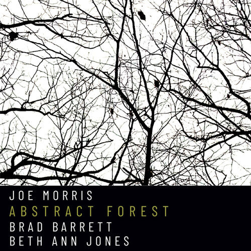 [PRE-ORDER] Joe Morris - Abstract Forest (CD)