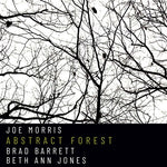 [PRE-ORDER] Joe Morris - Abstract Forest (CD)