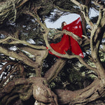 [PRE-ORDER] Hannah Frances - Nested In Tangles (Vinyl)