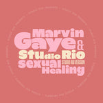 [PRE-ORDER] Marvin Gaye - Sexual Healing (Vinyl)