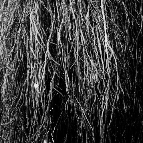[PRE-ORDER] Eraldo Bernocchi - Nocturnal Rainforest (Vinyl)