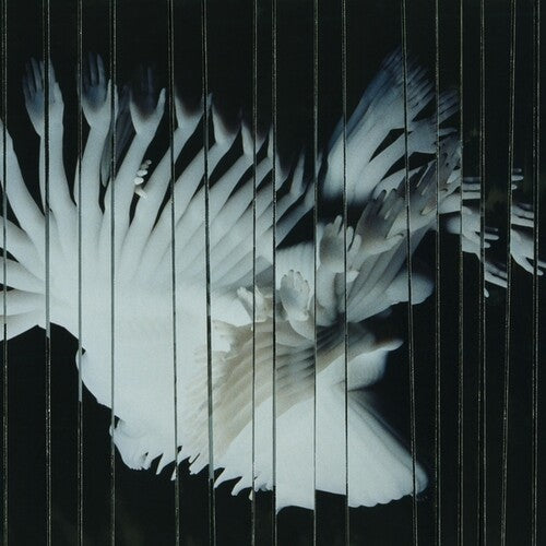 [PRE-ORDER] Scaler - Endlessly (Vinyl)