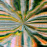[PRE-ORDER] Nils Hoffmann - Everlight (Vinyl)