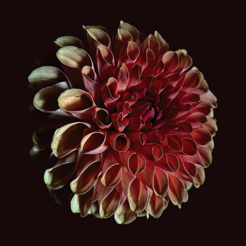 [PRE-ORDER] Jessica Moss - Unfolding (Vinyl)