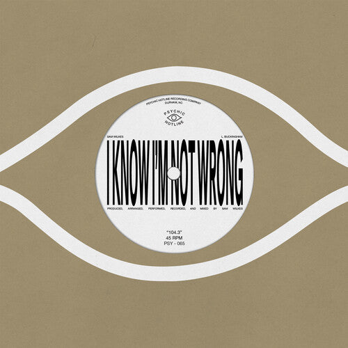 [PRE-ORDER] Sam Wilkes - 104.3 (Vinyl)