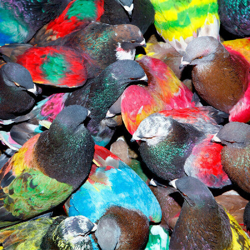 [PRE-ORDER] Blawan - Sickelixir (Vinyl)