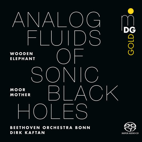 [PRE-ORDER] Moor Mother - Analog Fluids of Sonic Black Holes (Vinyl)