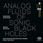 [PRE-ORDER] Moor Mother - Analog Fluids of Sonic Black Holes (Vinyl)