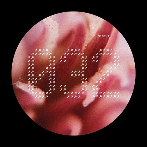 [PRE-ORDER] Various Artists - NECH032 (Vinyl)