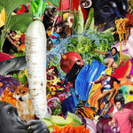 [PRE-ORDER] Jetski - The Radiant Radish (CD)