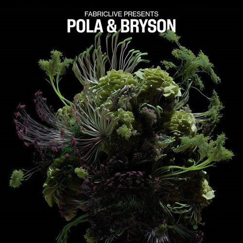 Pola & Bryson - FABRICLIVE presents Pola & Bryson (Vinyl)
