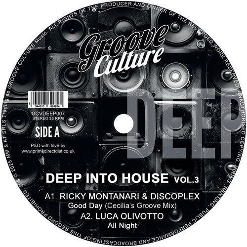 [PRE-ORDER] Various Artists - Deep Into House Vol. 3 / Various (Vinyl)