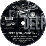 [PRE-ORDER] Various Artists - Deep Into House Vol. 3 / Various (Vinyl)