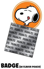 Rokimoto x Peanuts Series 1, 12-Piece Blind Box (Toys)