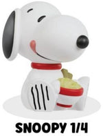 Rokimoto x Peanuts Series 1, 12-Piece Blind Box (Toys)