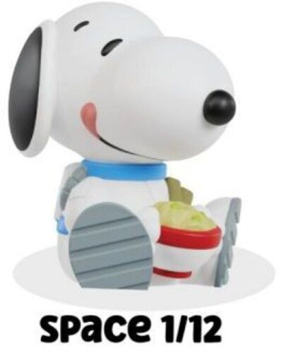 Rokimoto x Peanuts Series 1, 12-Piece Blind Box (Toys)