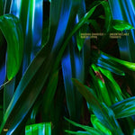 the album cover for Anushka Chkheidze/ Lippok,Robert - Uncontrollable Thoughts