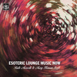 the album cover for Ruth Mascelli/ Scott,Mary Hanson - Esoteric Lounge Music Now